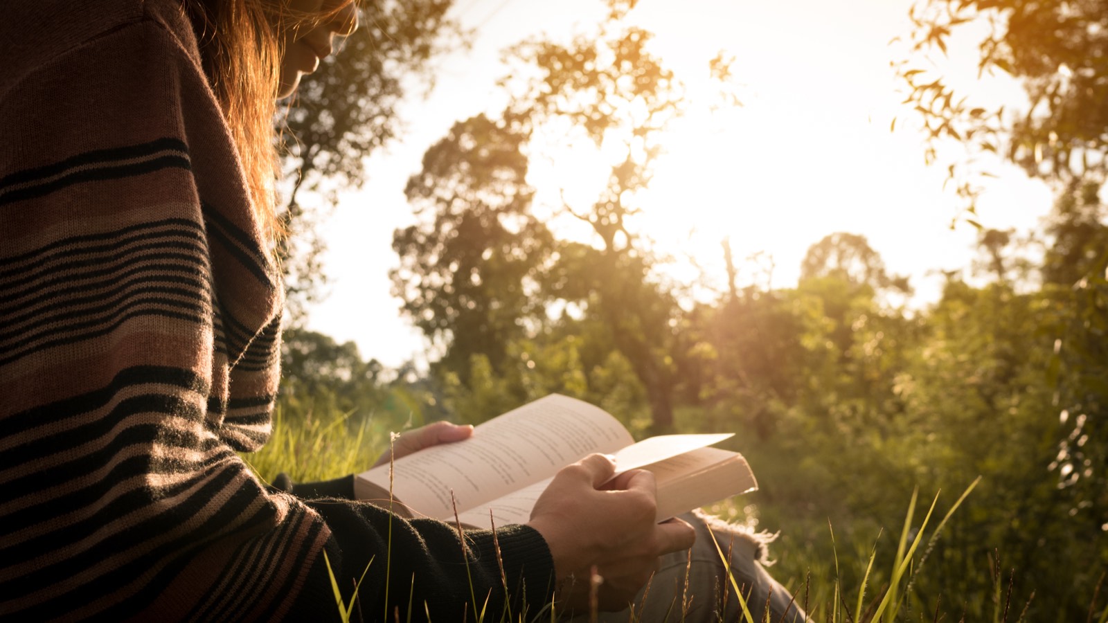 A person reading peacefully outdoors in warm golden light